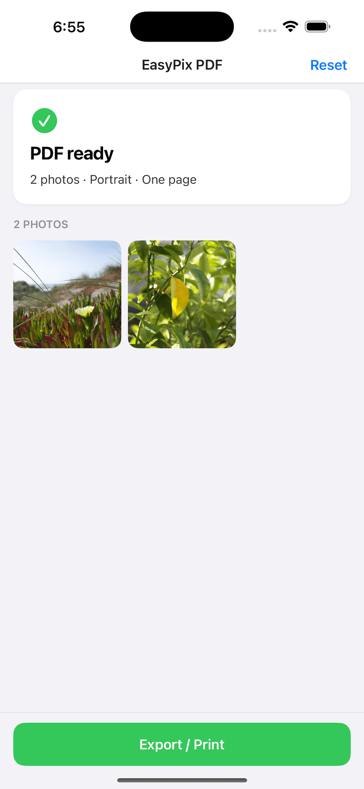 EasyPix PDF — Auto-fit one page